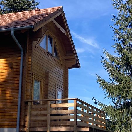 Anould Chalet Authentique Au Calme, En Lisiere De Foret, Montagne, Sentiers 15Mn Gerardmer & Alsace "Chalet Mon Beau Sapin" מראה חיצוני תמונה