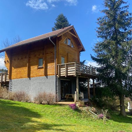 Anould Chalet Authentique Au Calme, En Lisiere De Foret, Montagne, Sentiers 15Mn Gerardmer & Alsace "Chalet Mon Beau Sapin" מראה חיצוני תמונה