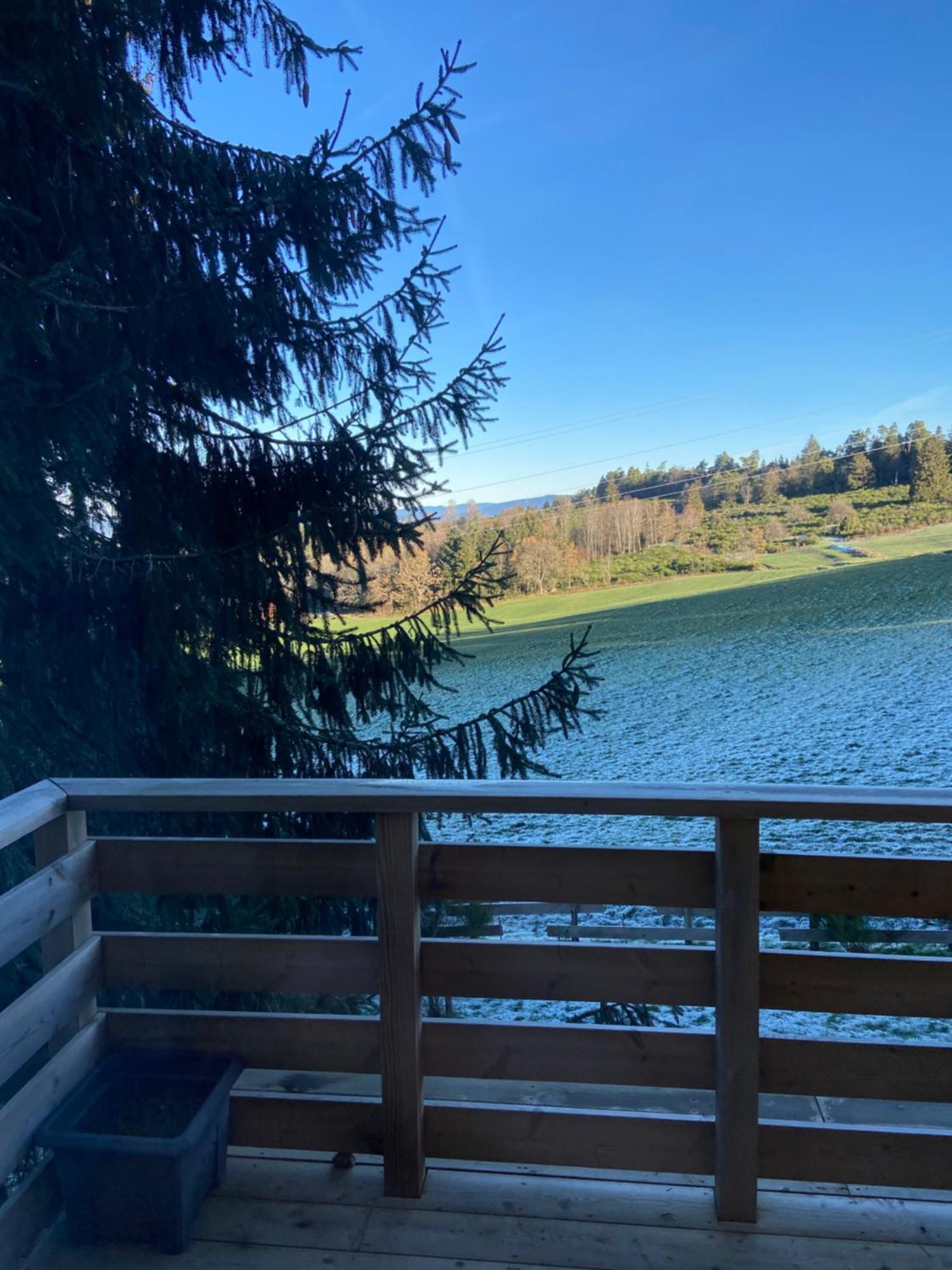 Anould Chalet Authentique Au Calme, En Lisiere De Foret, Montagne, Sentiers 15Mn Gerardmer & Alsace "Chalet Mon Beau Sapin" מראה חיצוני תמונה