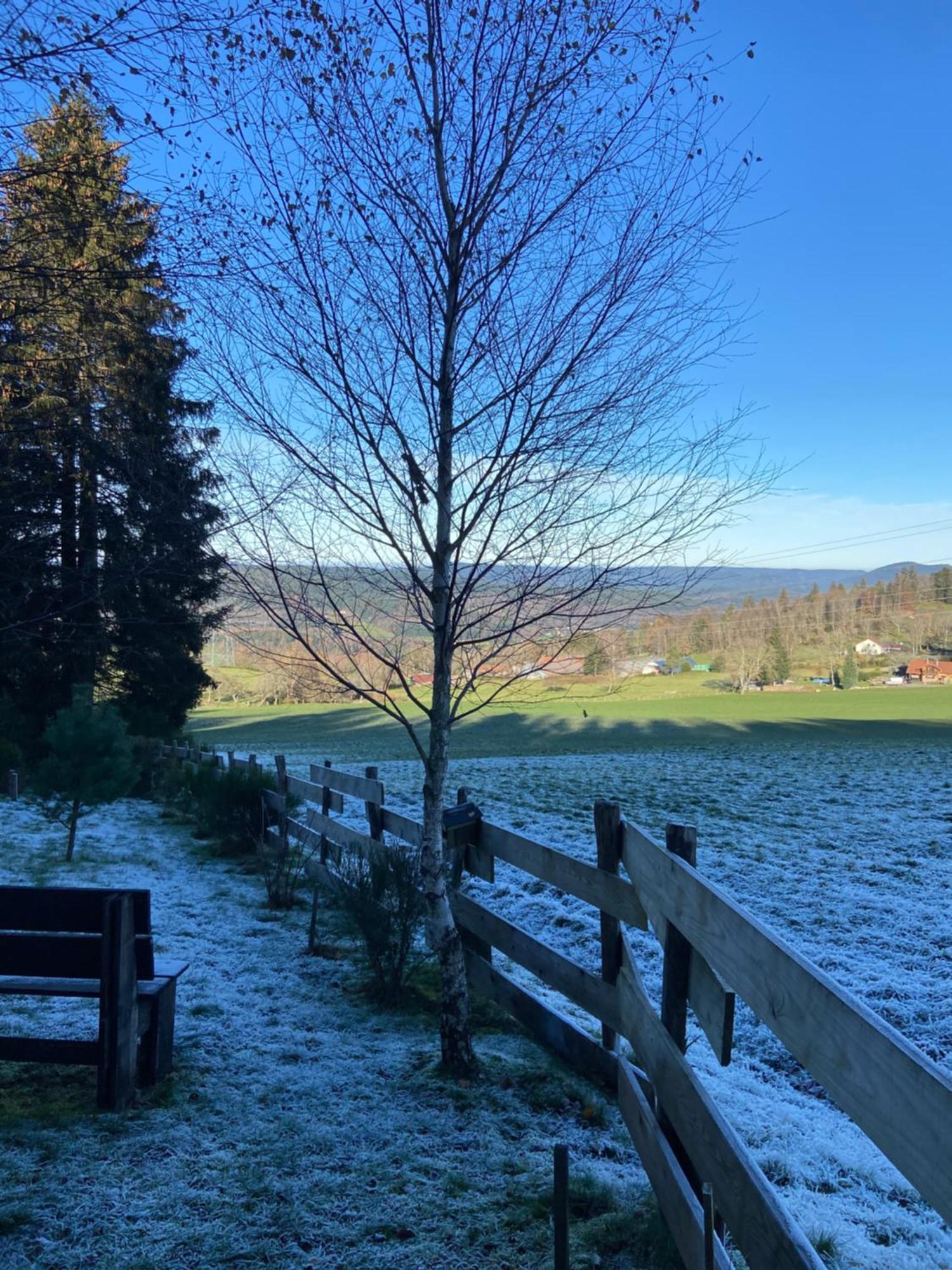 Anould Chalet Authentique Au Calme, En Lisiere De Foret, Montagne, Sentiers 15Mn Gerardmer & Alsace "Chalet Mon Beau Sapin" מראה חיצוני תמונה