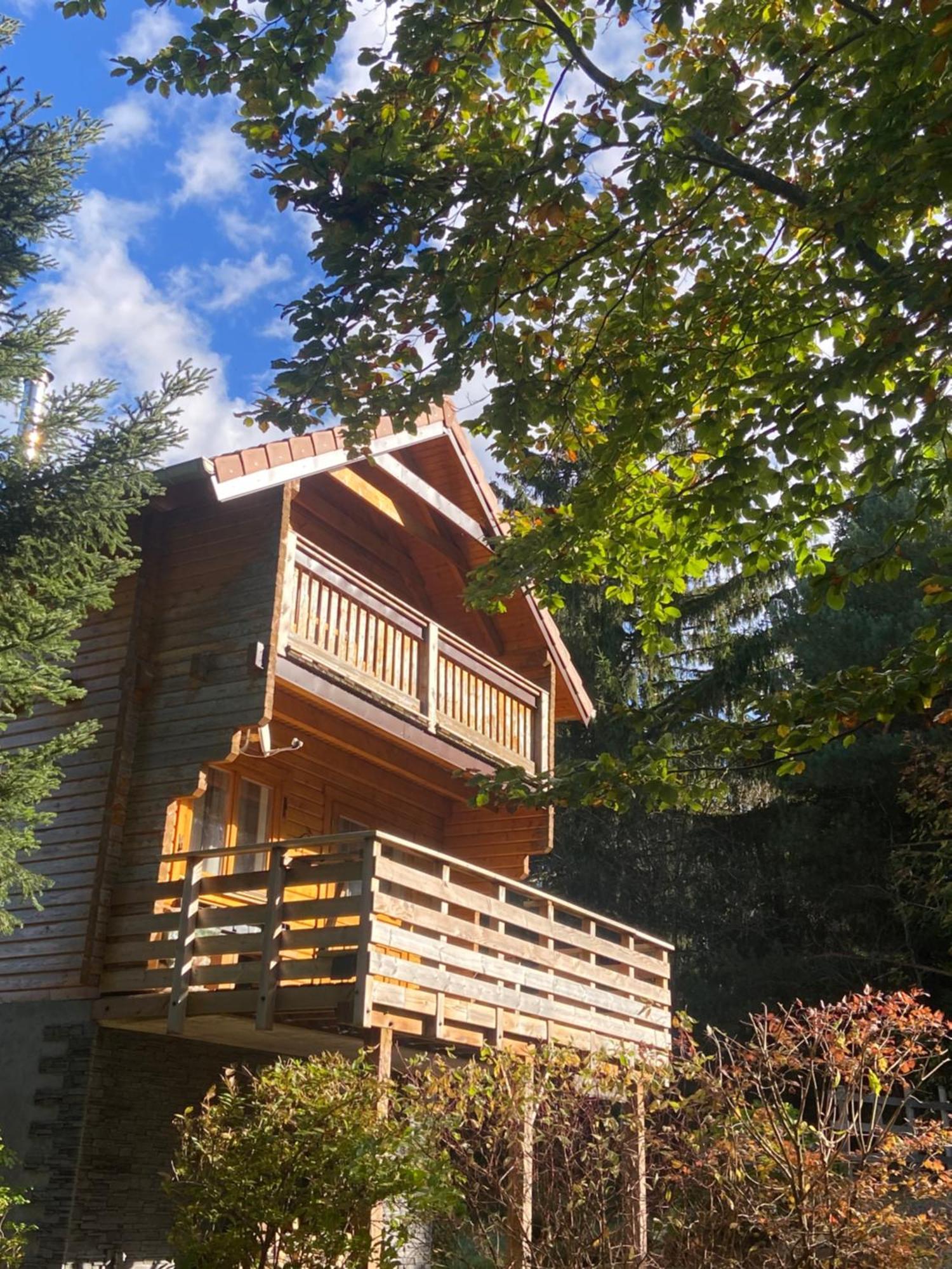 Anould Chalet Authentique Au Calme, En Lisiere De Foret, Montagne, Sentiers 15Mn Gerardmer & Alsace "Chalet Mon Beau Sapin" מראה חיצוני תמונה