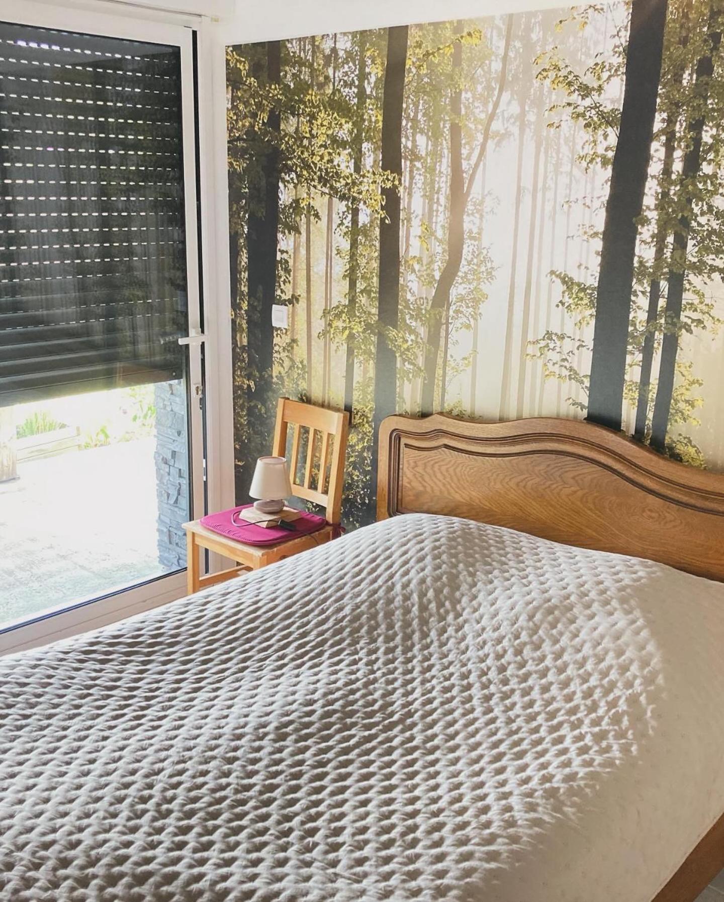 Anould Chalet Authentique Au Calme, En Lisiere De Foret, Montagne, Sentiers 15Mn Gerardmer & Alsace "Chalet Mon Beau Sapin" מראה חיצוני תמונה