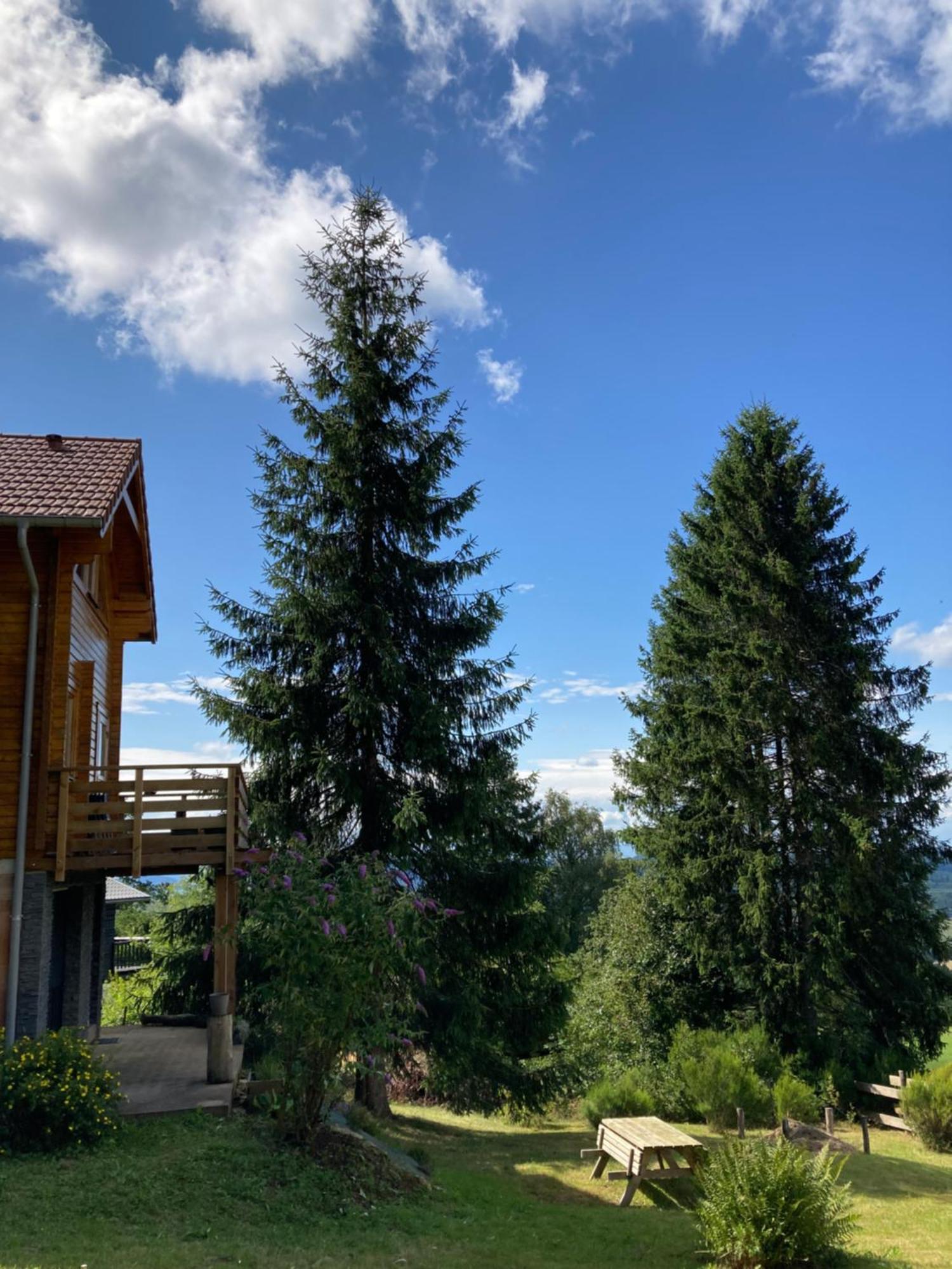Anould Chalet Authentique Au Calme, En Lisiere De Foret, Montagne, Sentiers 15Mn Gerardmer & Alsace "Chalet Mon Beau Sapin" מראה חיצוני תמונה