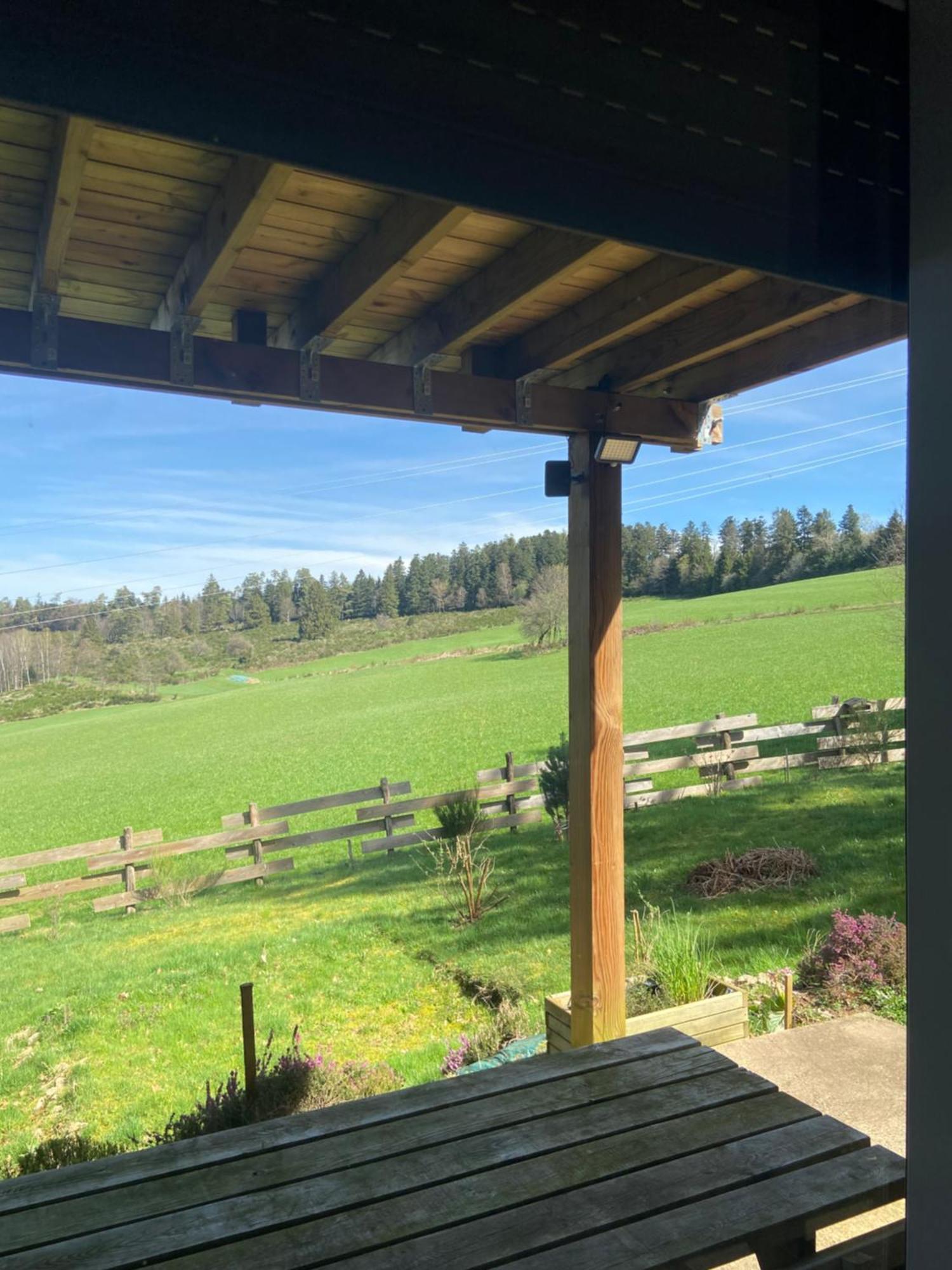 Anould Chalet Authentique Au Calme, En Lisiere De Foret, Montagne, Sentiers 15Mn Gerardmer & Alsace "Chalet Mon Beau Sapin" מראה חיצוני תמונה