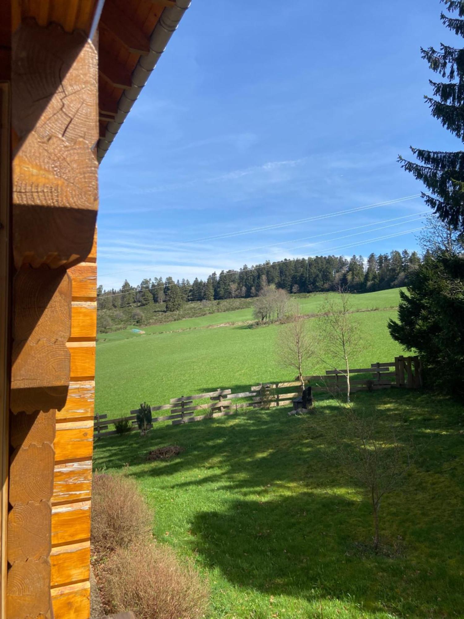 Anould Chalet Authentique Au Calme, En Lisiere De Foret, Montagne, Sentiers 15Mn Gerardmer & Alsace "Chalet Mon Beau Sapin" מראה חיצוני תמונה