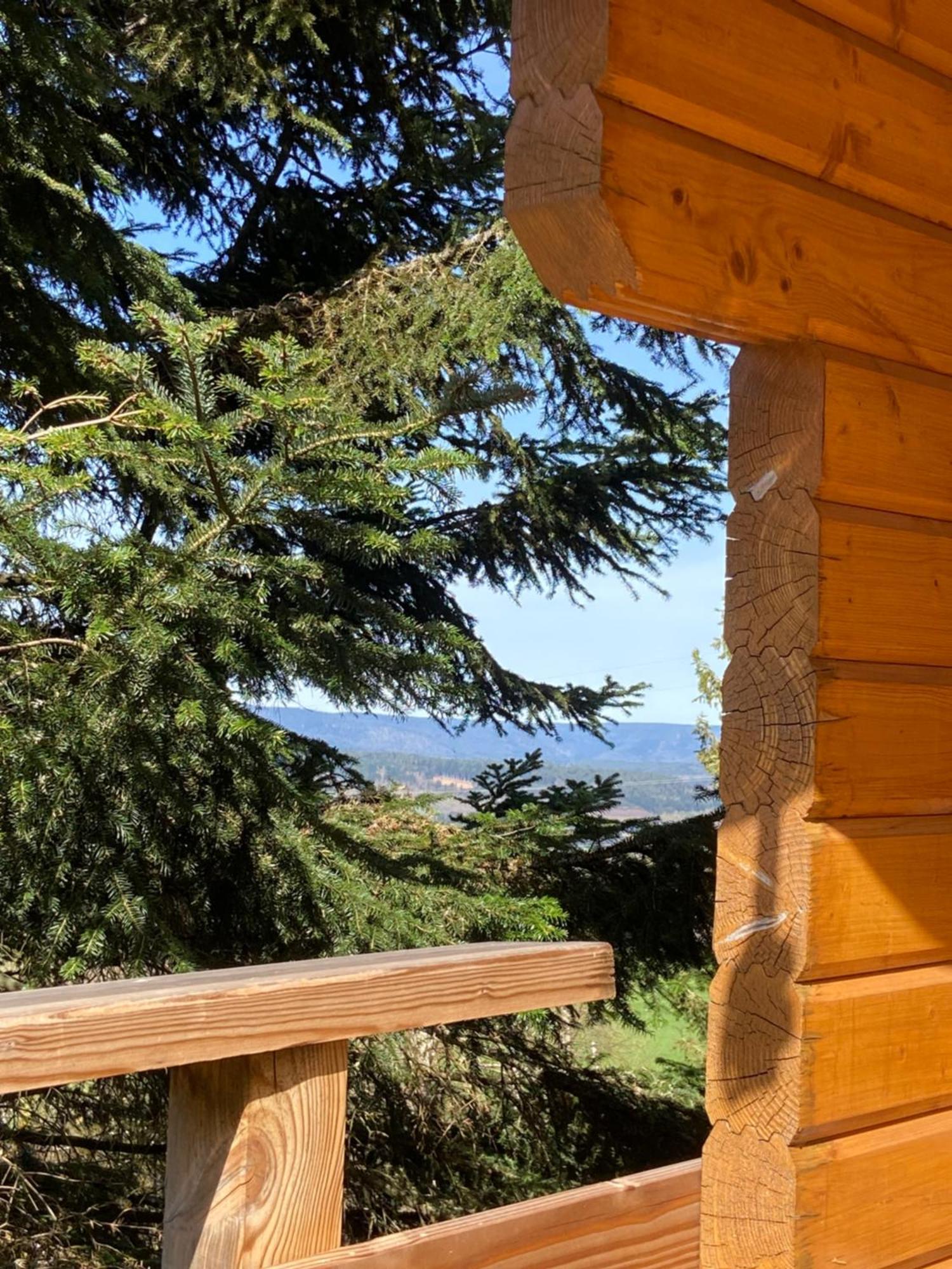 Anould Chalet Authentique Au Calme, En Lisiere De Foret, Montagne, Sentiers 15Mn Gerardmer & Alsace "Chalet Mon Beau Sapin" מראה חיצוני תמונה