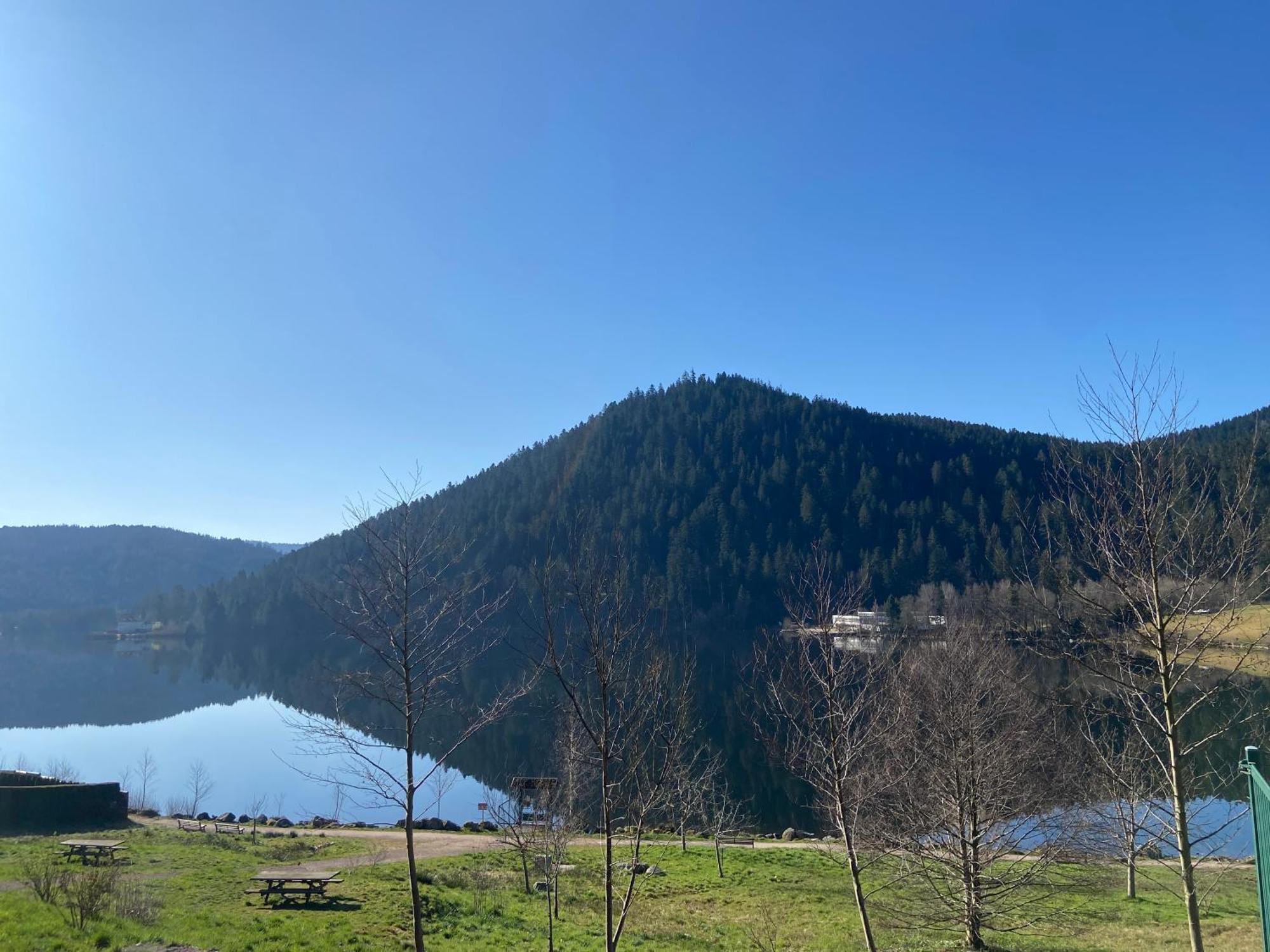 Anould Chalet Authentique Au Calme, En Lisiere De Foret, Montagne, Sentiers 15Mn Gerardmer & Alsace "Chalet Mon Beau Sapin" מראה חיצוני תמונה