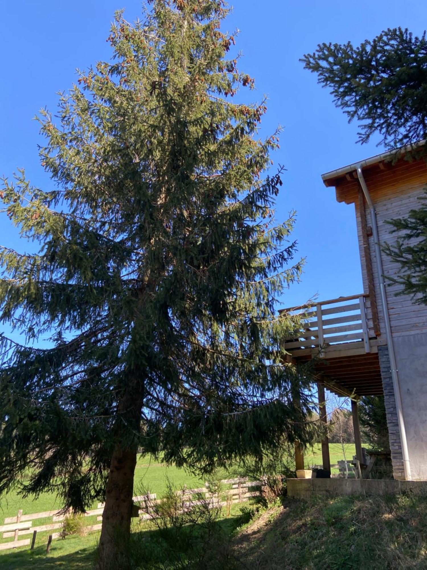 Anould Chalet Authentique Au Calme, En Lisiere De Foret, Montagne, Sentiers 15Mn Gerardmer & Alsace "Chalet Mon Beau Sapin" מראה חיצוני תמונה
