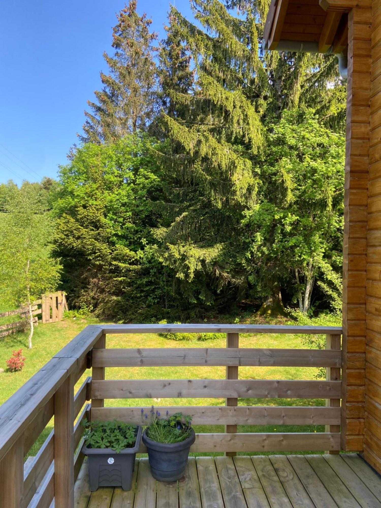Anould Chalet Authentique Au Calme, En Lisiere De Foret, Montagne, Sentiers 15Mn Gerardmer & Alsace "Chalet Mon Beau Sapin" מראה חיצוני תמונה